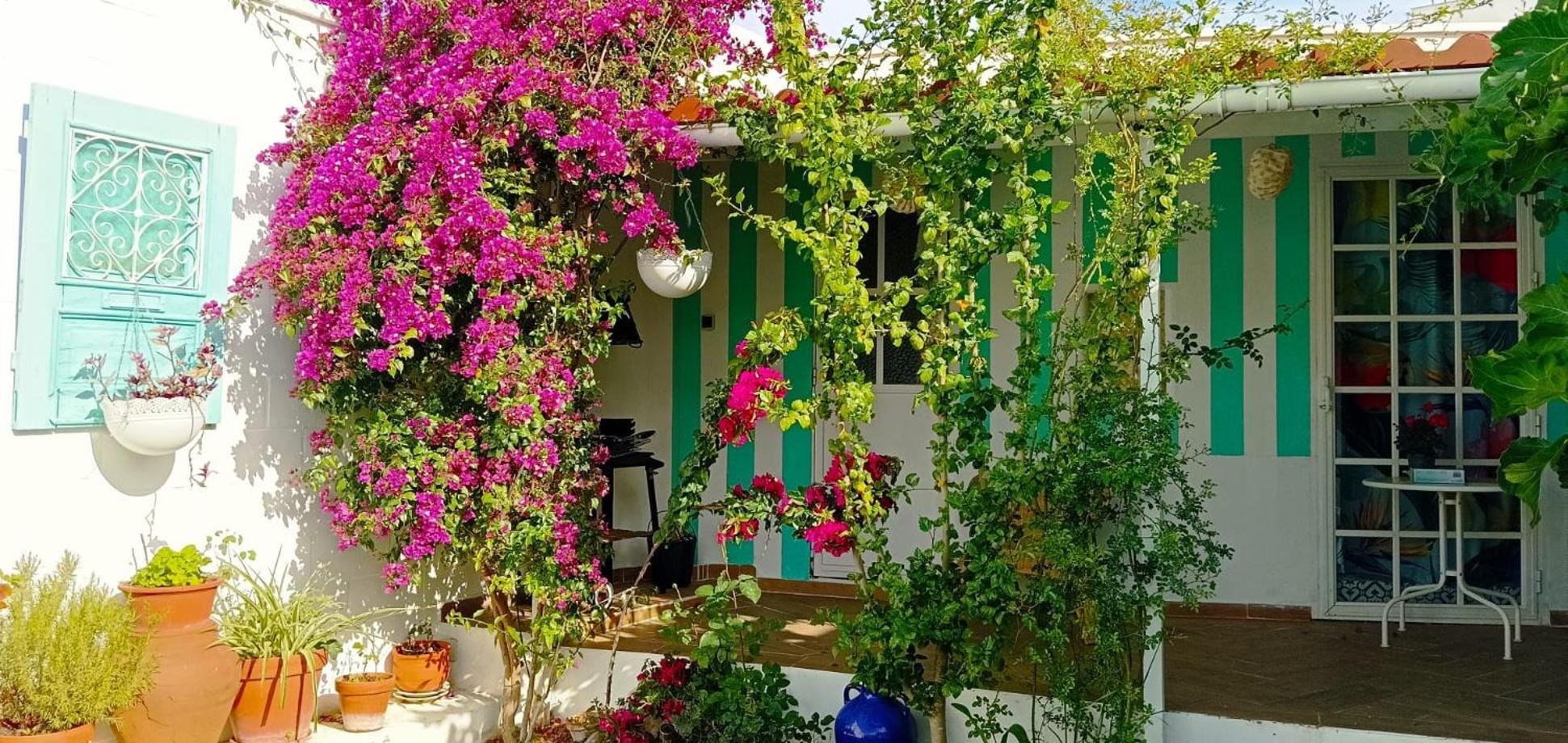 Casa Con Piscina Cerca De Sevilla Carrion de Los Cespedes Zewnętrze zdjęcie