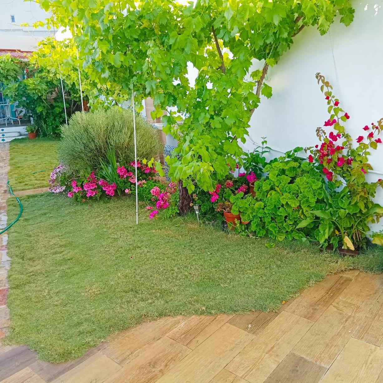 Casa Con Piscina Cerca De Sevilla Carrion de Los Cespedes Zewnętrze zdjęcie